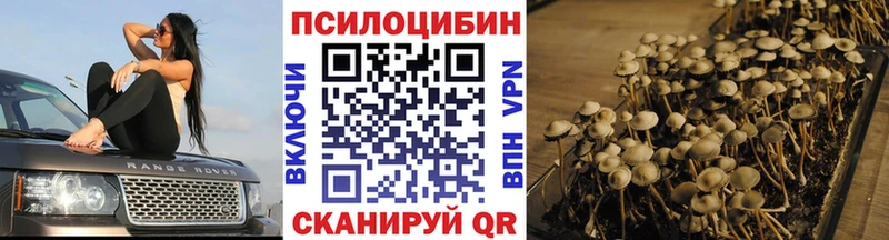 купить наркотик  Муравленко  Галлюциногенные грибы мухоморы 